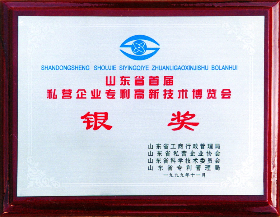 3-3獎牌03-山東省高新技術(shù)博覽會(huì )銀獎.jpg